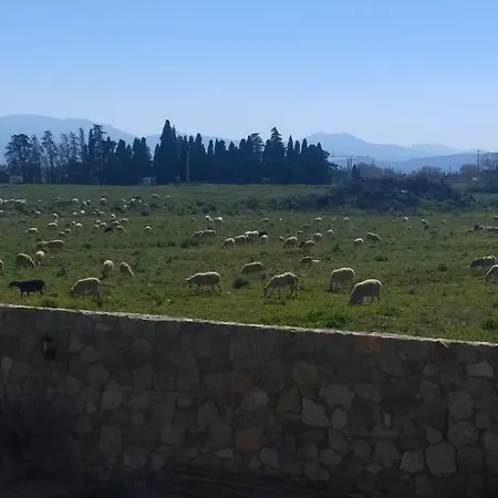 Domaine La Via Regia : Les Maisons Perpignan